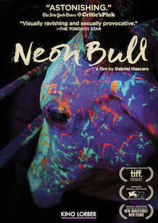 Neon_Bull_cover